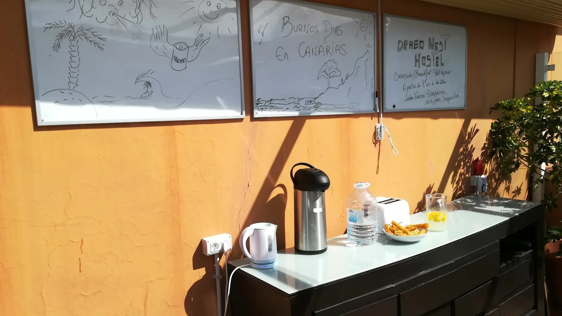 Drago Hostel Icod De Los Vinos Spain